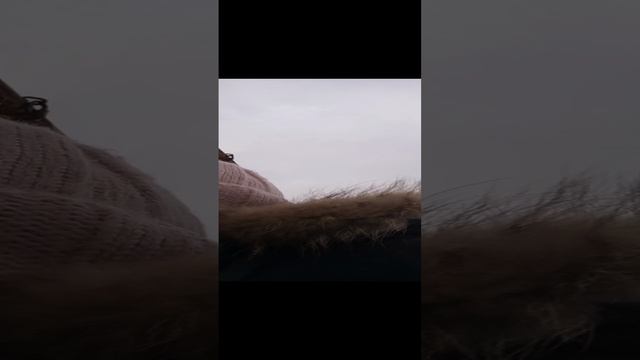 335 смотреть онлайн