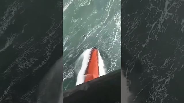 Dangerous North Sea clips😱🌊 #interesting #clips #dangerous #crazy #stunt #adventure #shorts #f смотреть онлайн