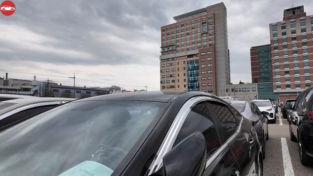 Цены на аукционе в Корее | 1 Апреля что дальше? смотреть онлайн