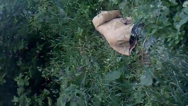 ЗОЛОТОЙ ДОЖДЬ смотреть онлайн