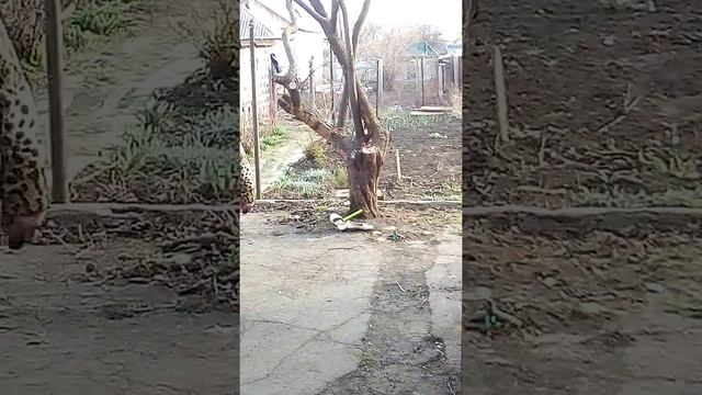 Напилась и требует телефон смотреть онлайн