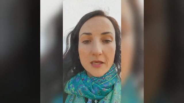 projekat - predstavi svoju organizaciju - @belgrade.bees.ecology смотреть онлайн