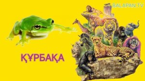 Қазақша танымдық мультфильм ,балаларға арналған жануарлар дауысы. ертегілер , ертегі .