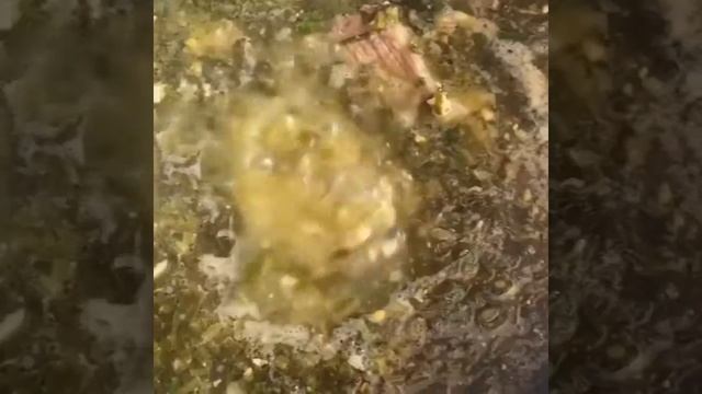 Зелёный борщ смотреть онлайн