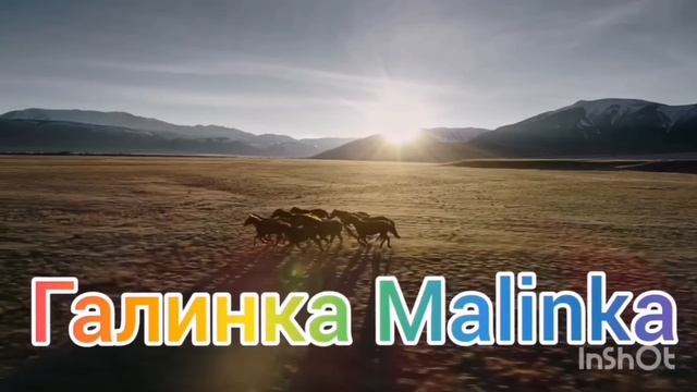 Мы родились в Сибири /Попрошайки на ютубе оборзели совсем /Обзор Влогов /Мы родились в Сибири life смотреть онлайн