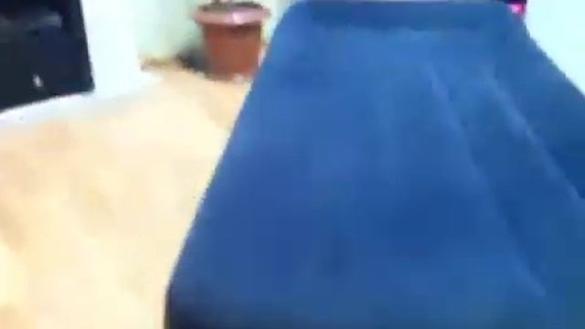 Новый канал смотреть онлайн