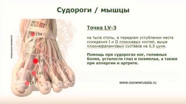 КАК ПРАВИЛЬНО ПРИМЕНЯТЬ ГОЛОГРАММЫ AROGAWW смотреть онлайн