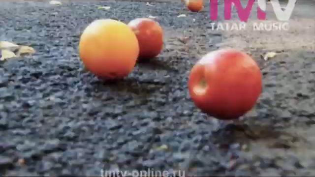 Фэридэ хэм Алсу - Туган яр смотреть онлайн