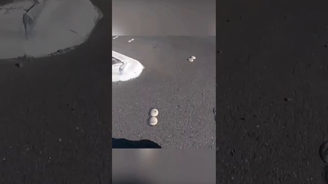 Слушайте родителей. Они плохого не посоветуют