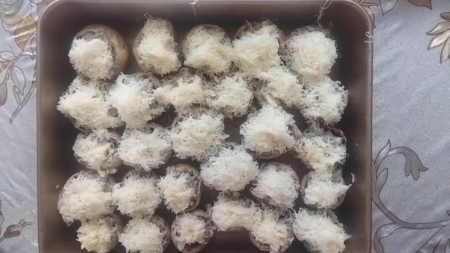 Фаршированные шампиньоны п/ф перед запеканием в духовке смотреть онлайн