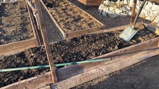 Чтобы ОГУРЦЫ РОСЛИ здоровые, обязательно обрабатываю грунт! смотреть онлайн