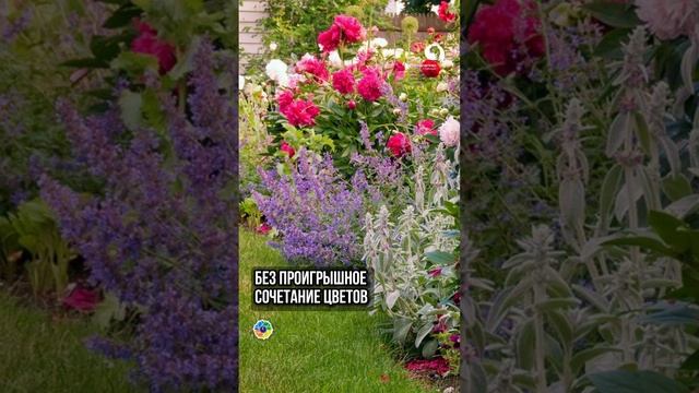 Как сочетать ЦВЕТЫ ? смотреть онлайн