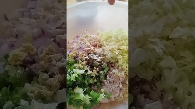 Savory Pork and Tofu Dumplings !!! смотреть онлайн