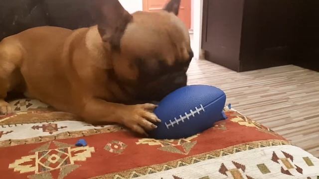 Расправы. Кекс расправился с мячом. смотреть онлайн