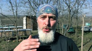 ПЛАНОВЫЕ РАБОТЫ НА ПАСЕКЕ В МАРТЕ.