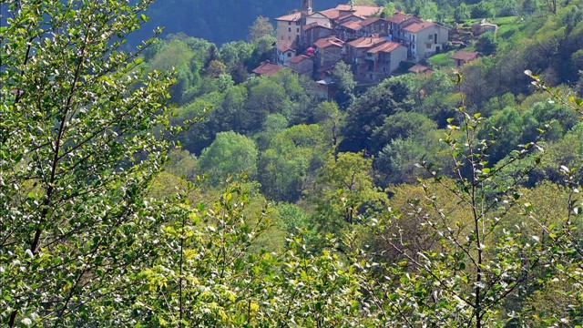 La chiave a scheletro, voce Oliviero Cappellini смотреть онлайн