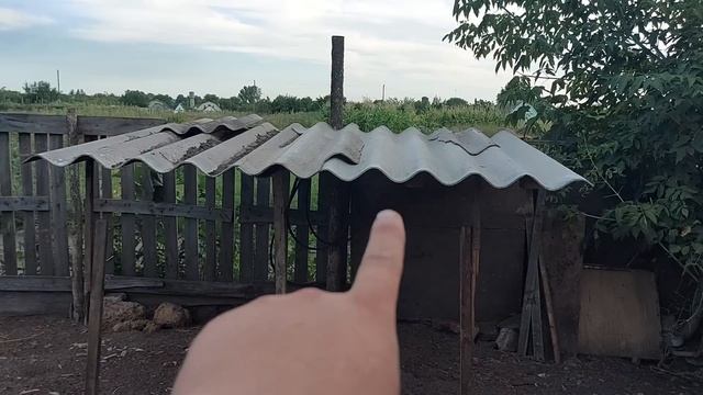 У Январёнка уточки будут!!!! смотреть онлайн