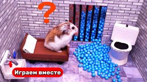 Секретная тюрьма для ХОМЯКА 🐹 Побег из лабиринта ! Видео для детей
