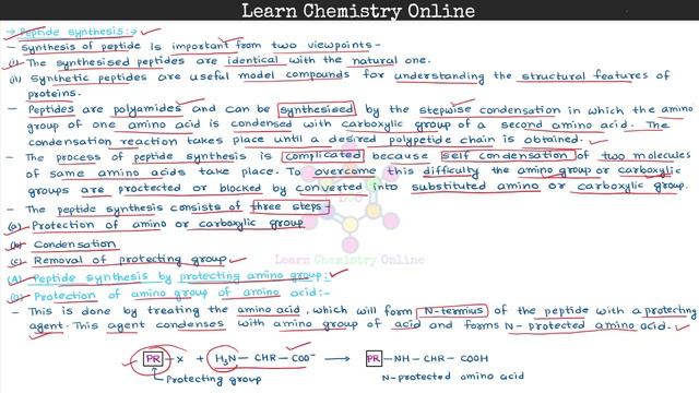 B.Sc. III Year | Peptides | Peptide synthesis | पेप्टाइड संश्लेषण смотреть онлайн
