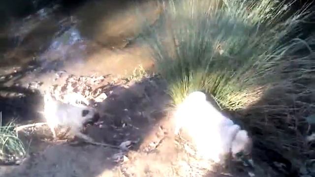 Miso and udon park смотреть онлайн