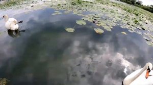 ЖИЗНЬ В ЕС. КАК ОНО ?