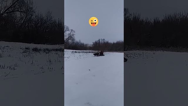 Открыт зимний сезон езды на гусеницах Крутец #гусеницы #крутец #зима #мотоблок #сельскоехозяйство смотреть онлайн