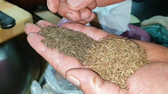 Праздничный ПЛОВ.Узбекистан г.Ташкент смотреть онлайн