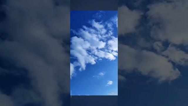 ❤️ смотреть онлайн