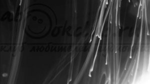 05.01. Андрей Панченко - Болотник. Книга 5. Часть 01.