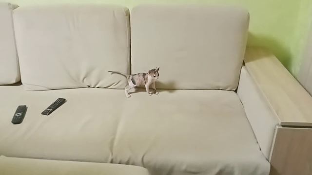 Первая встреча с Соней смотреть онлайн