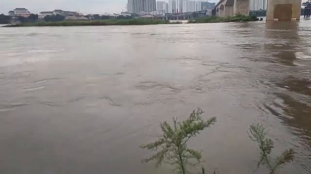 Chỉ có thể ở gầm cầu Vĩnh Tuy смотреть онлайн