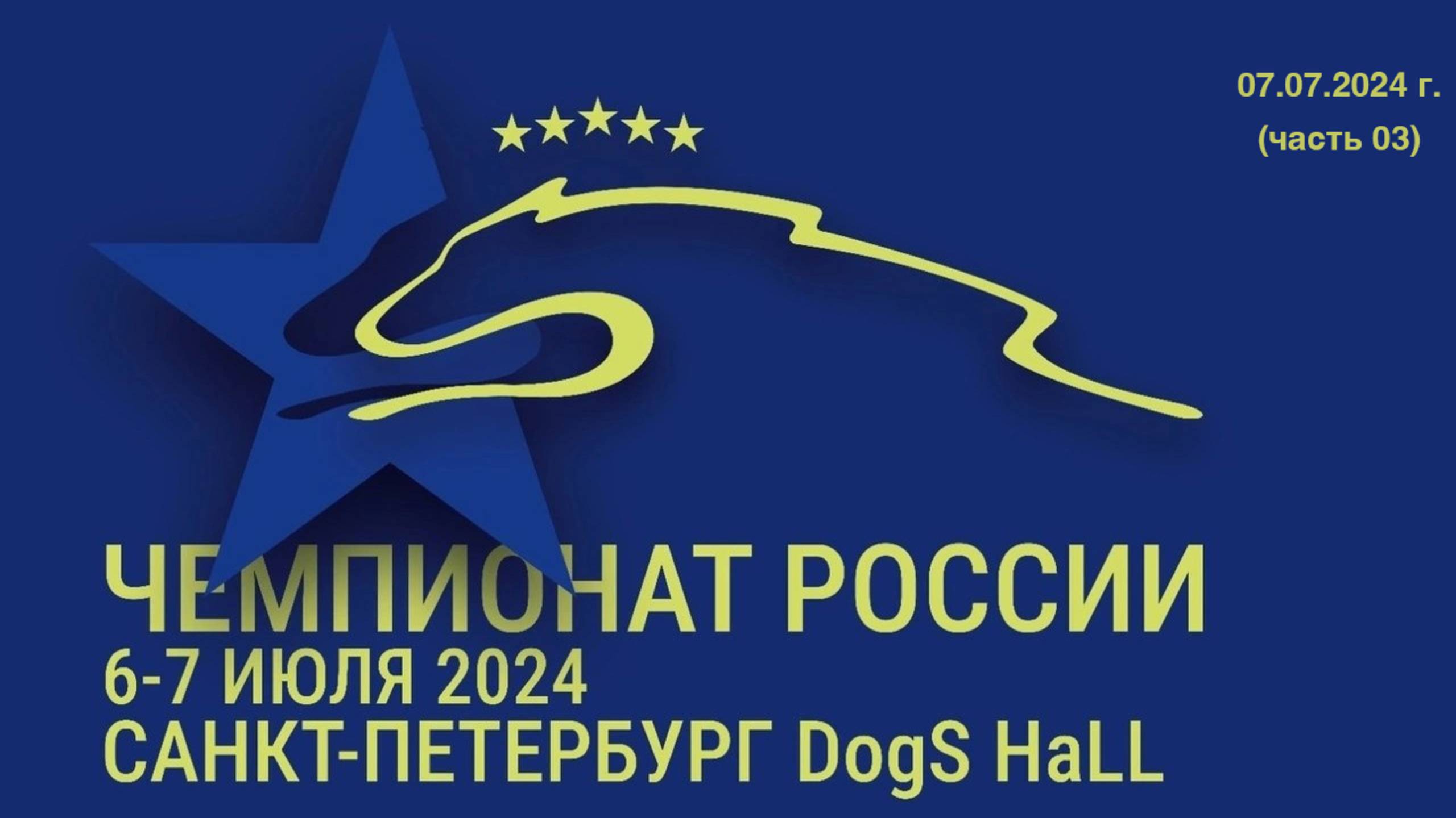 Аджилити | Чемпионат России РКФ 2024 г. (часть 03)| 07.07.2024