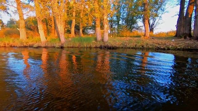 РОССИЯ\ или " КАК МЫ ИСПАНЦА ЗА РАКАМИ ВОЗИЛИ" смотреть онлайн