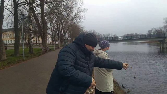 кормили уток в Вышнем Волочке смотреть онлайн