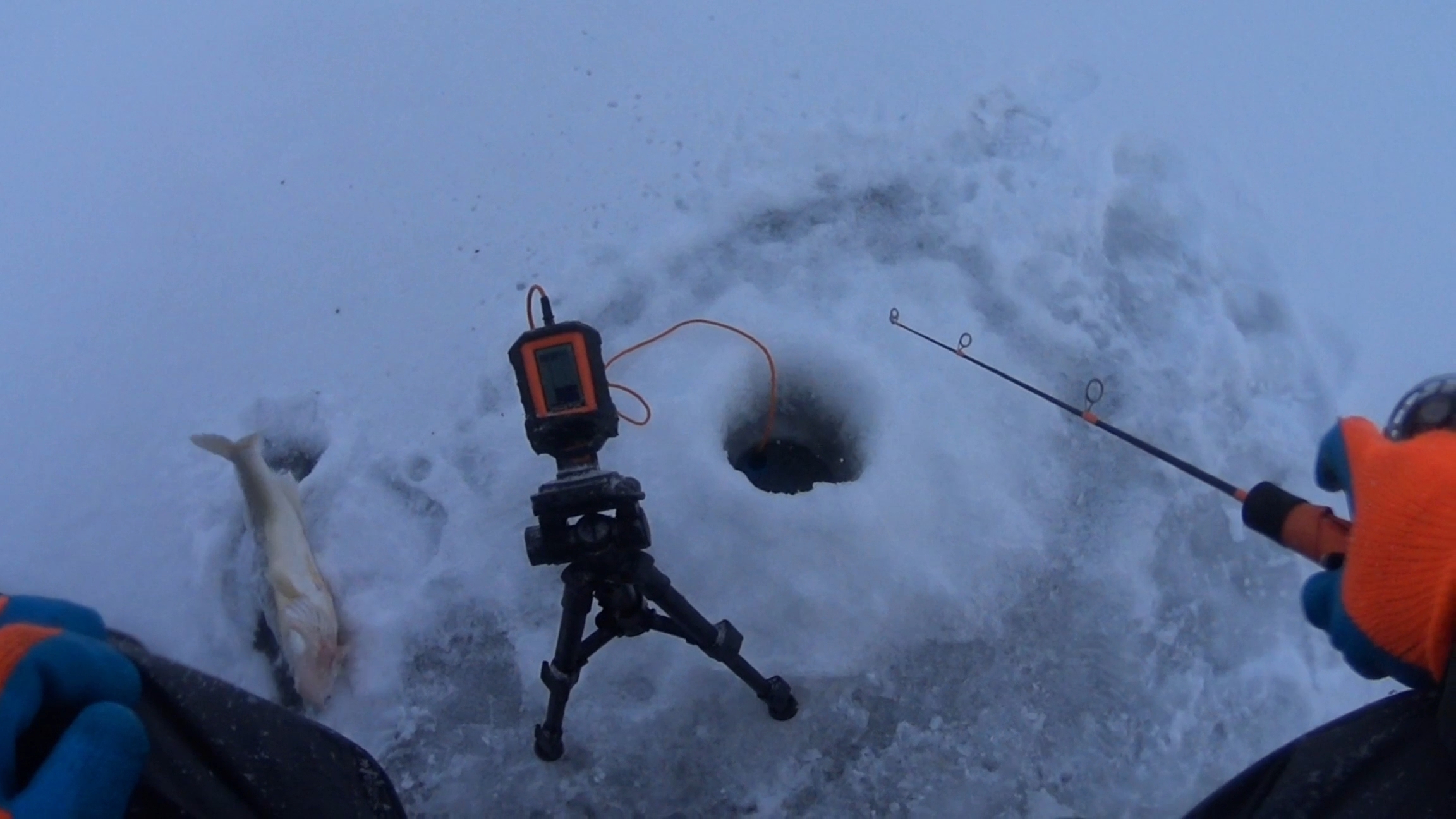 Рыбалка на судака.Рыба в каждой лунке.Рыбалка на Обском водохранилище. смотреть онлайн