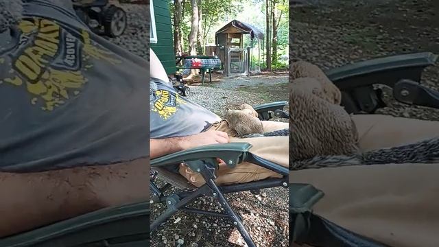 Hubby Tryin'Take Nap, Squirrels Wanna Play 😂 смотреть онлайн