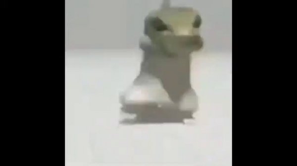 ящерица флексит под Владимирский централ