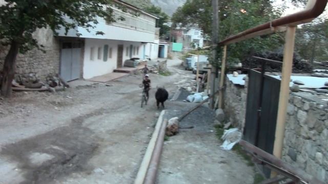 Тлох смотреть онлайн