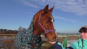 ЗАЕХАЛИ В ЛЕС И НАШЛИ ГРИБЫ В ЯНВАРЕ! Приготовил торт на ДЕНЬ РОЖДЕНИЯ и СЪЕЗДИЛИ В ОДНО ИНТЕРЕСНОЕ