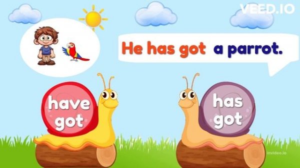 Grammar for kids: Have got - Has got