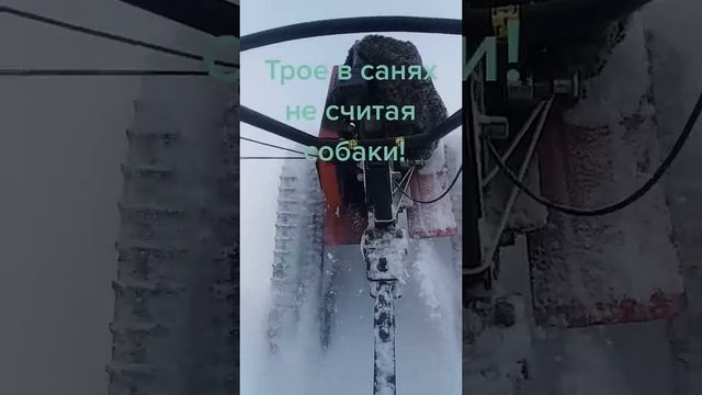 Первый выезд по пахате с 3-мя пассажирами! Гусеницы Крутец #крутец #гусеницы #мотоблок #хозяйство смотреть онлайн