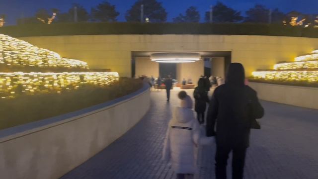 Парк Галицкого, Краснодар. Новогодний вечер 2025. смотреть онлайн