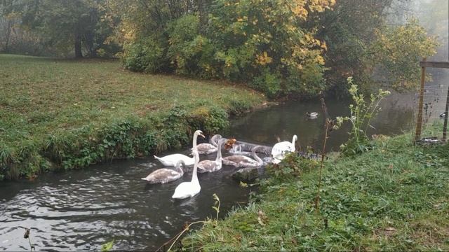 Вот и лето прошло... смотреть онлайн