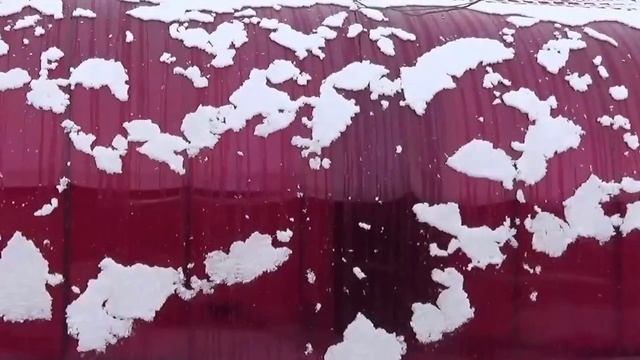 Навес из поликарбоната зимой смотреть онлайн