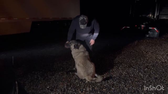 298. Добрался домой и празднуем день благодарения. смотреть онлайн