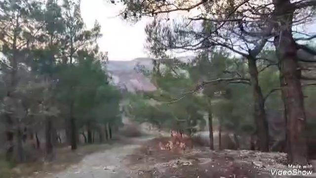 Проект "Жизнь Геленджика" 4 выпуск🌿 смотреть онлайн