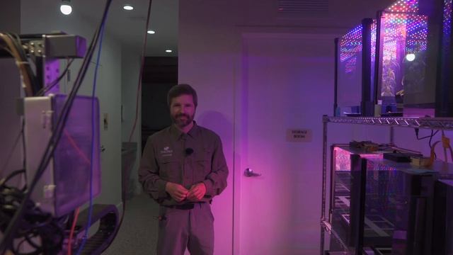Can You Grow PLANTS in SPACE? — Ep. 363 смотреть онлайн