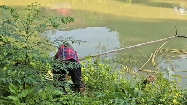 "The mute daughter-in-law and her cruel mother-in-law are always finding ways to harm her." смотреть онлайн