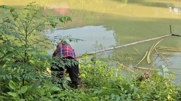 "The mute daughter-in-law and her cruel mother-in-law are always finding ways to harm her."