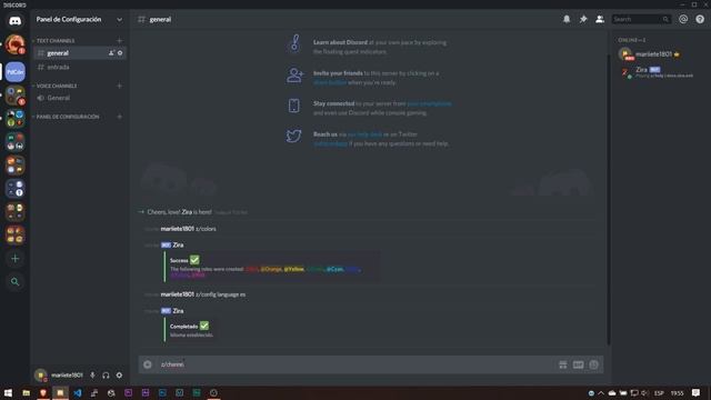 Crear Un PANEL De CONTROL De ROLES | Zira